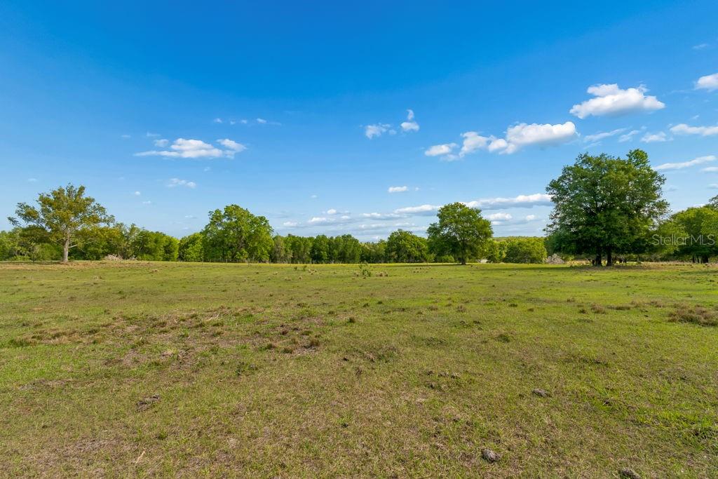 31501 REED RD — photo 26