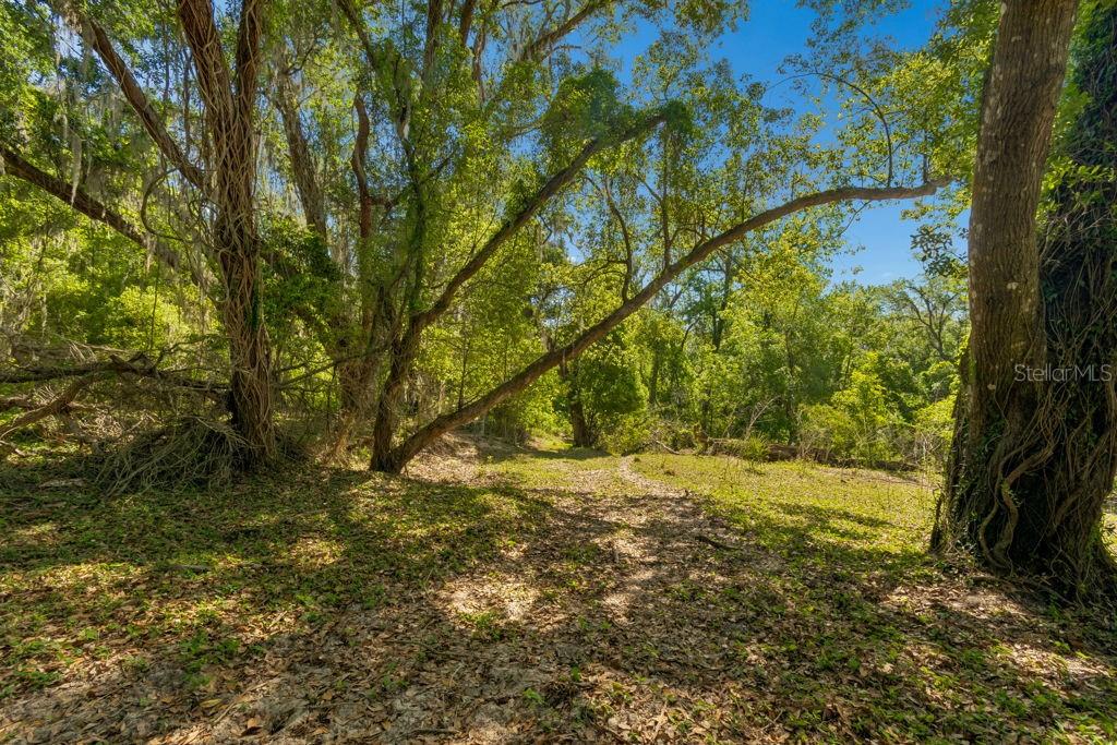 31501 REED RD — photo 17