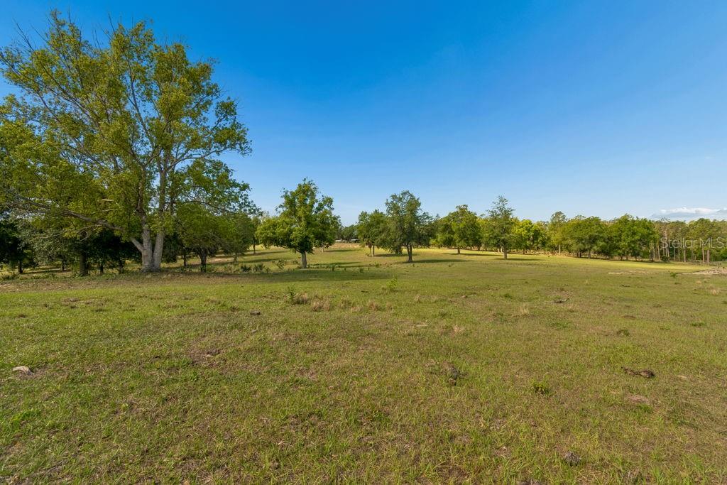 31501 REED RD — photo 12