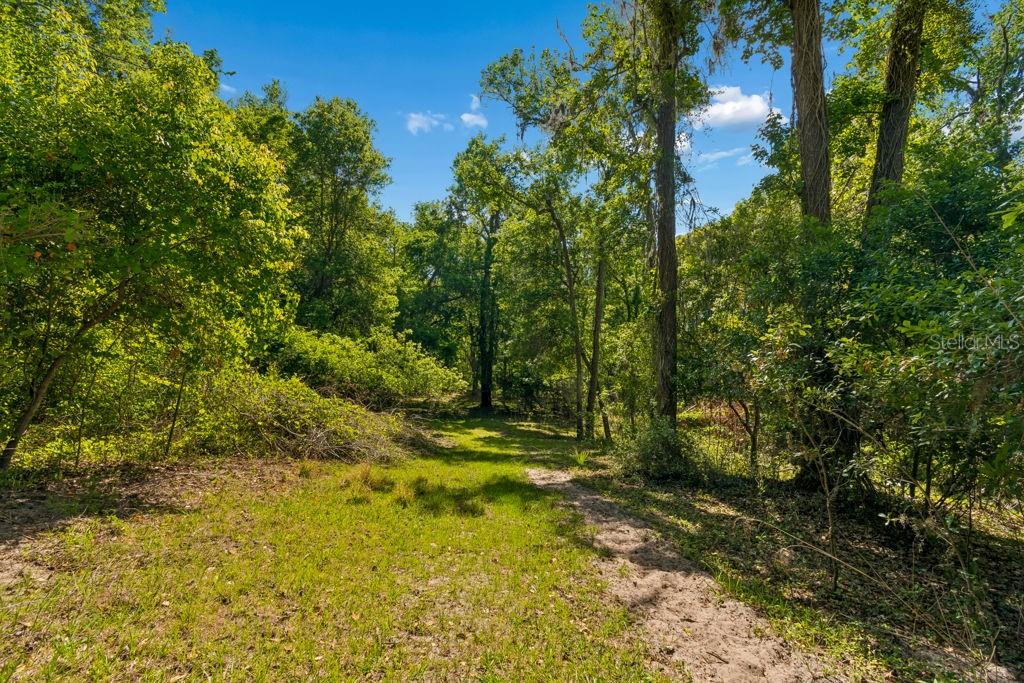 31501 REED RD — photo 28
