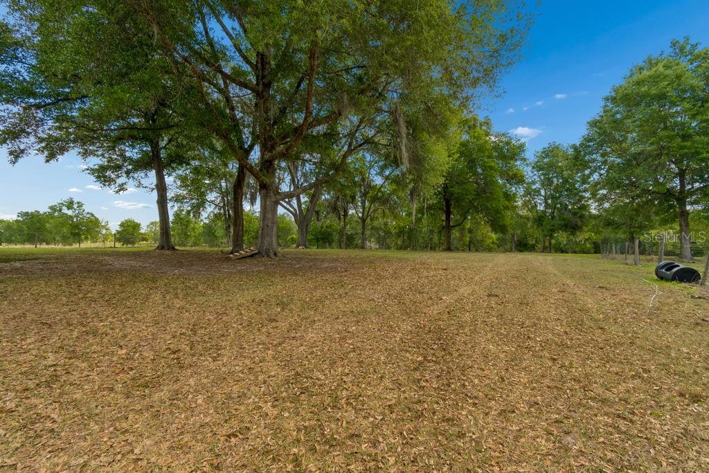 31501 REED RD — photo 13