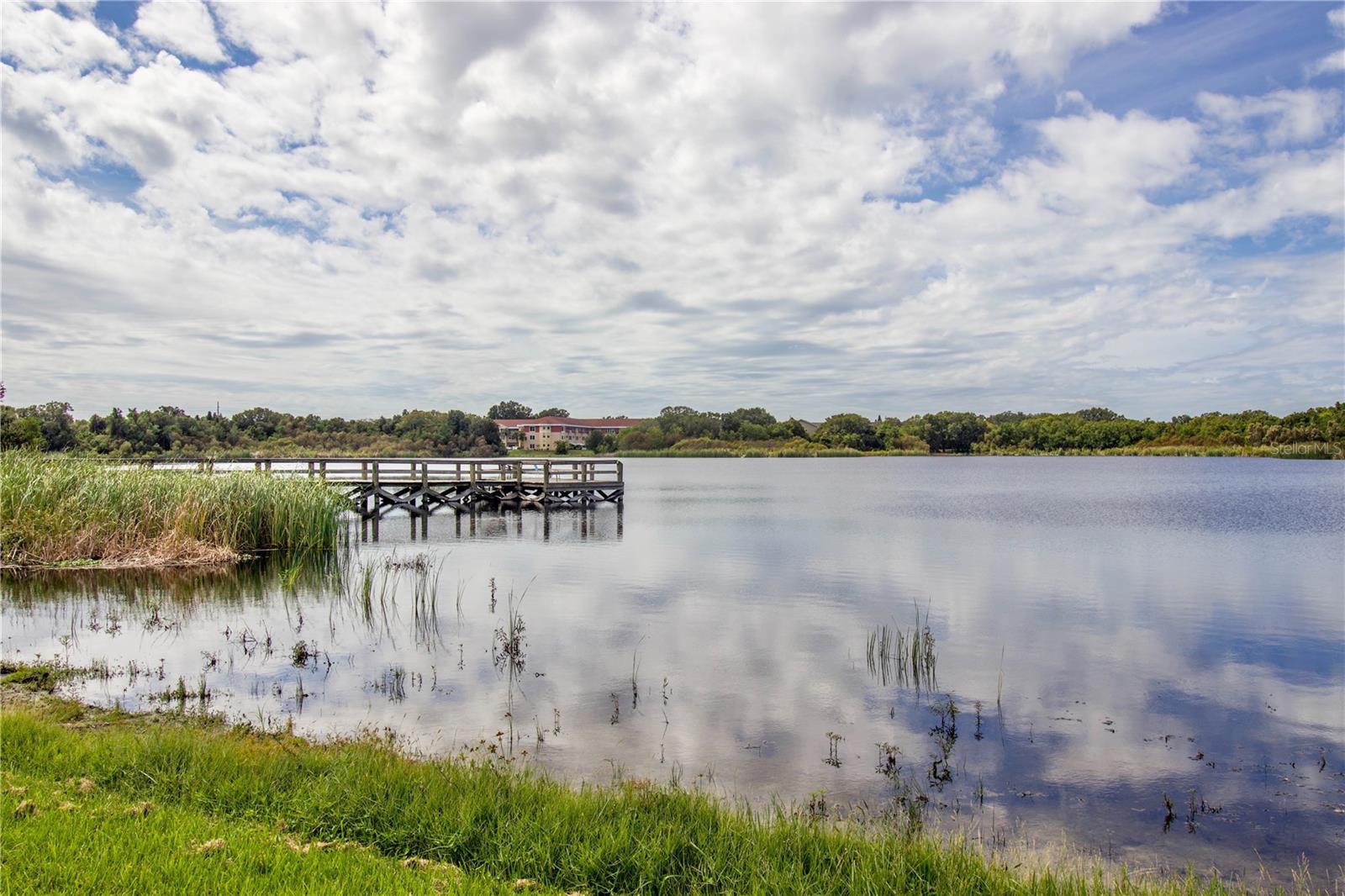2428 COLUMBIA DR #36 — photo 41