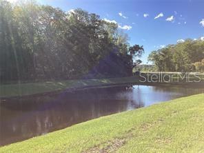 17522 NECTAR FLUME DR — photo 12