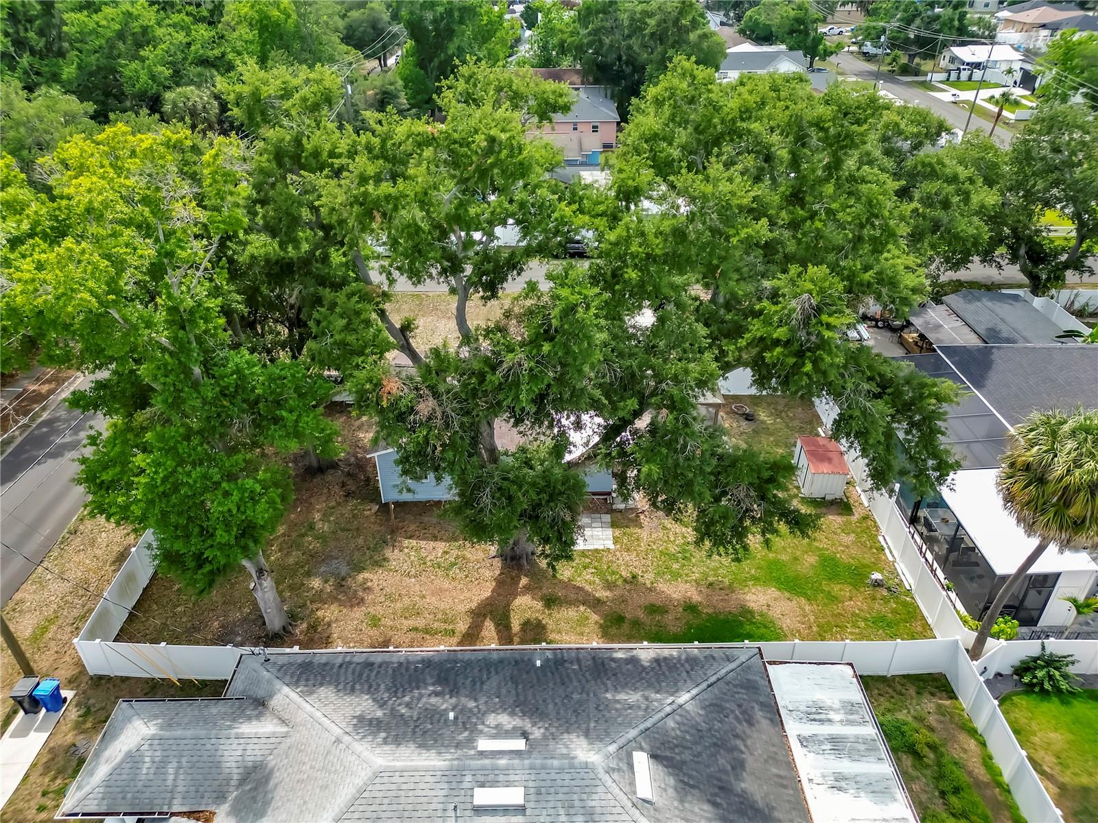 6201 THERESA ST — photo 43