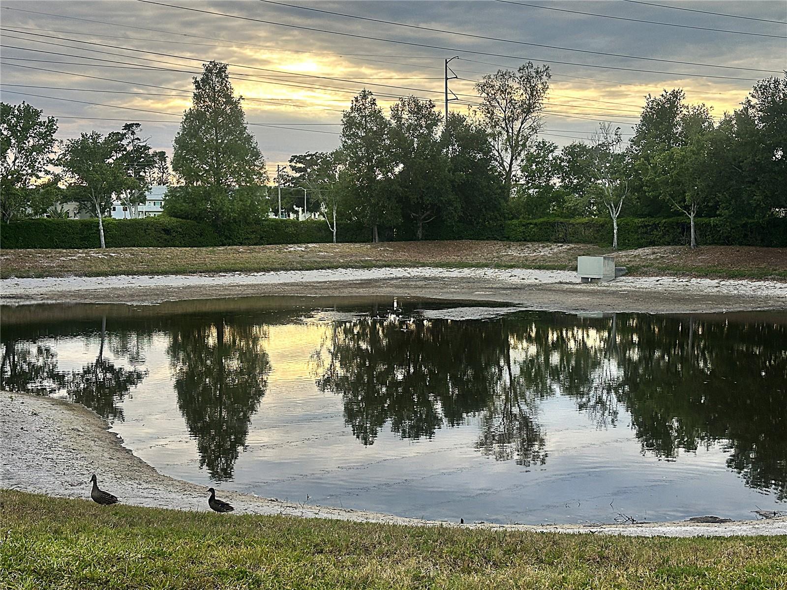 2048 SUN DOWN DR — photo 30