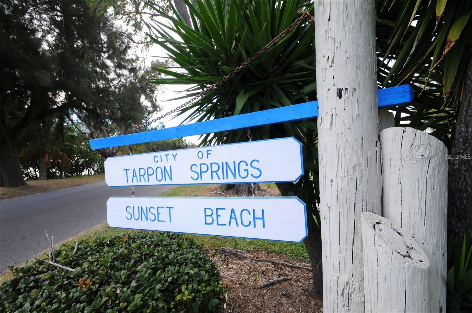 39820 US HIGHWAY 19 N #15 — photo 98