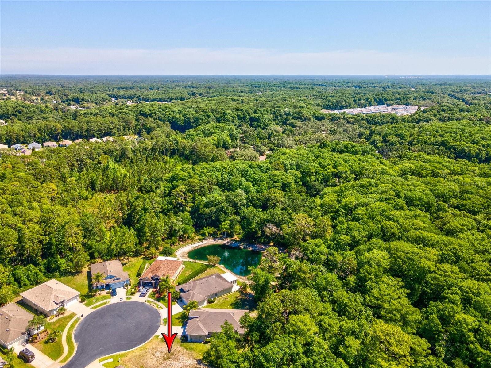 11444 MERGANSER WAY — photo 4