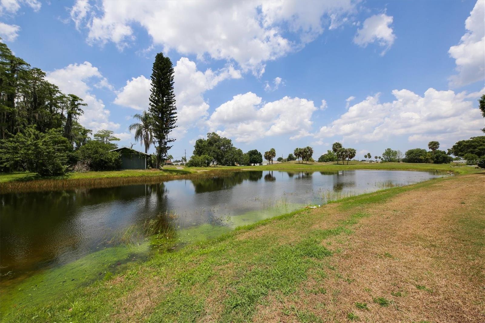 1834 E DEL WEBB BLVD — photo 69