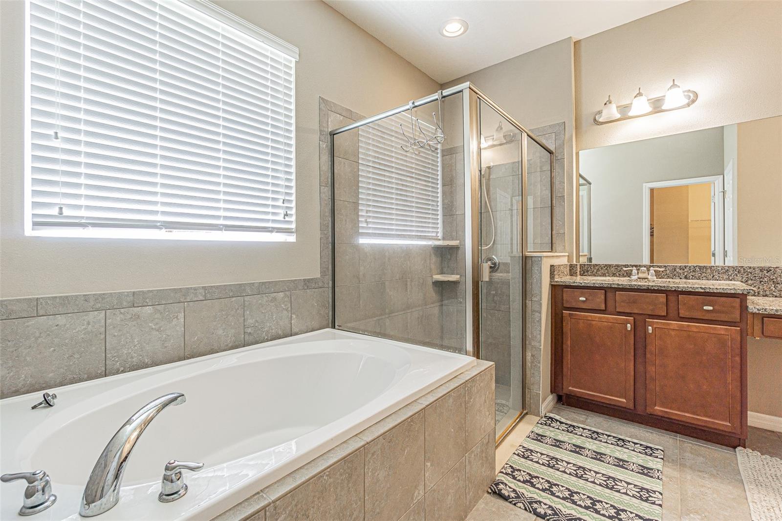 1667 NATURE VIEW DR — photo 19