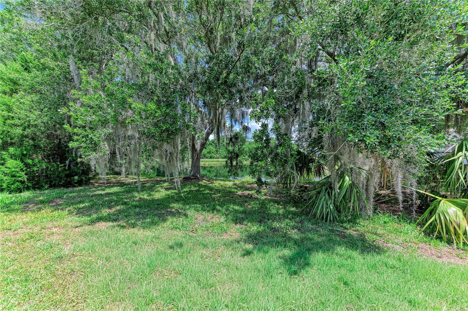 11515 SWEETGRASS DR — photo 38