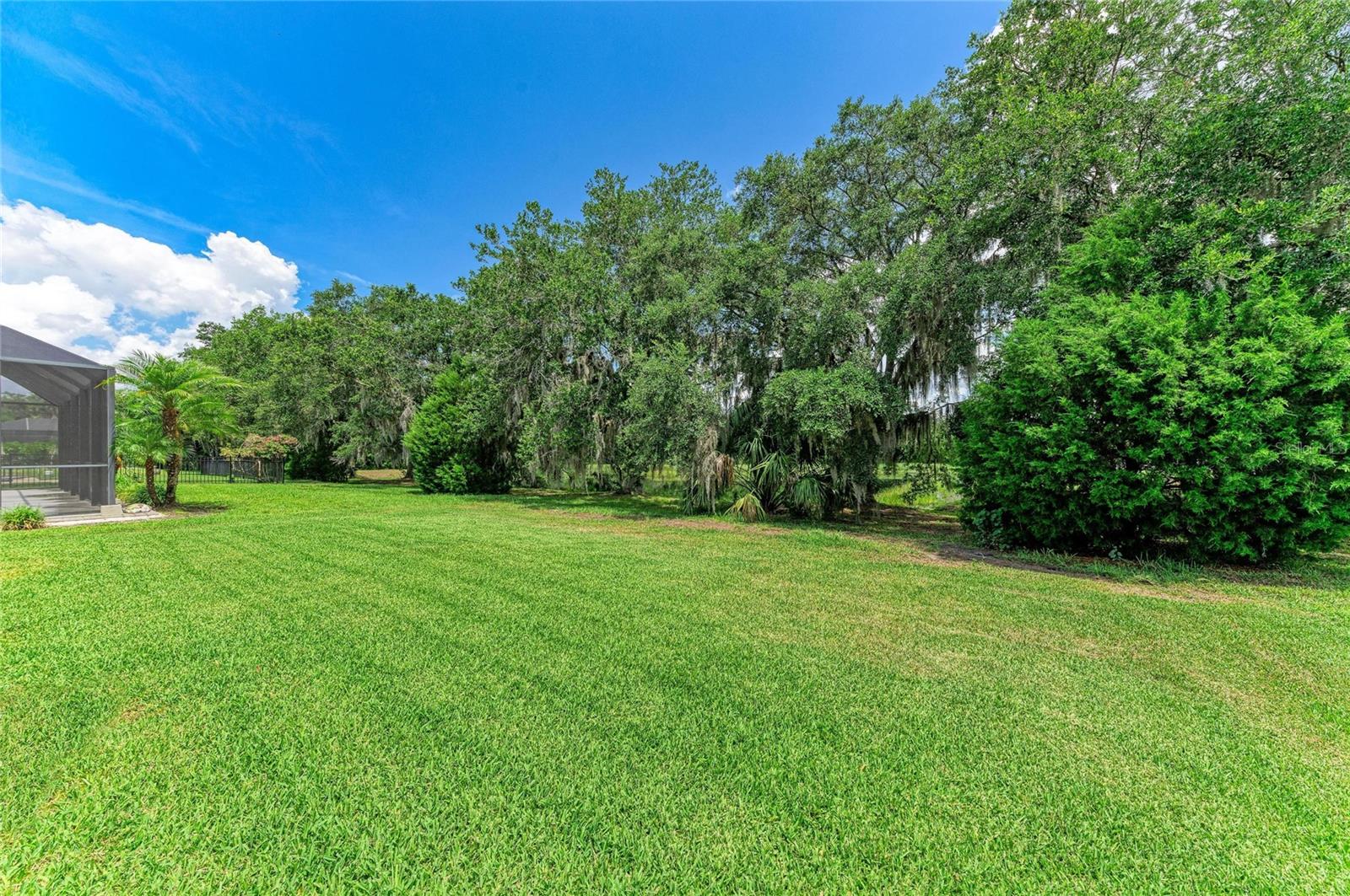 11515 SWEETGRASS DR — photo 36