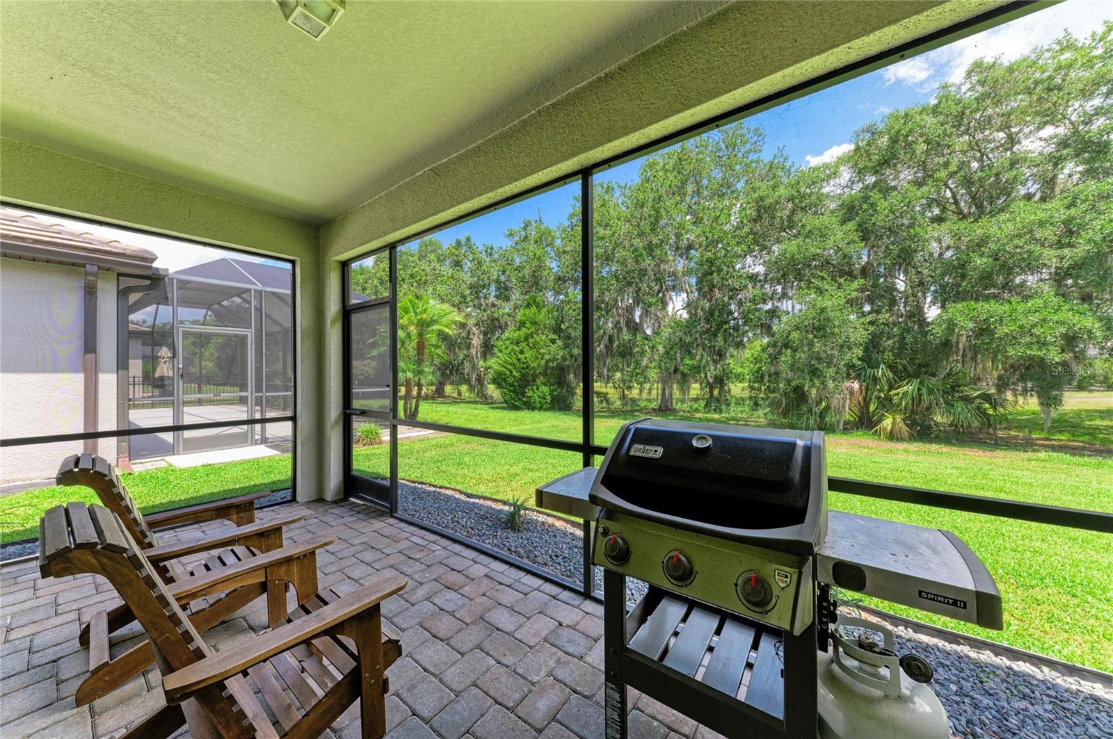 11515 SWEETGRASS DR — photo 33