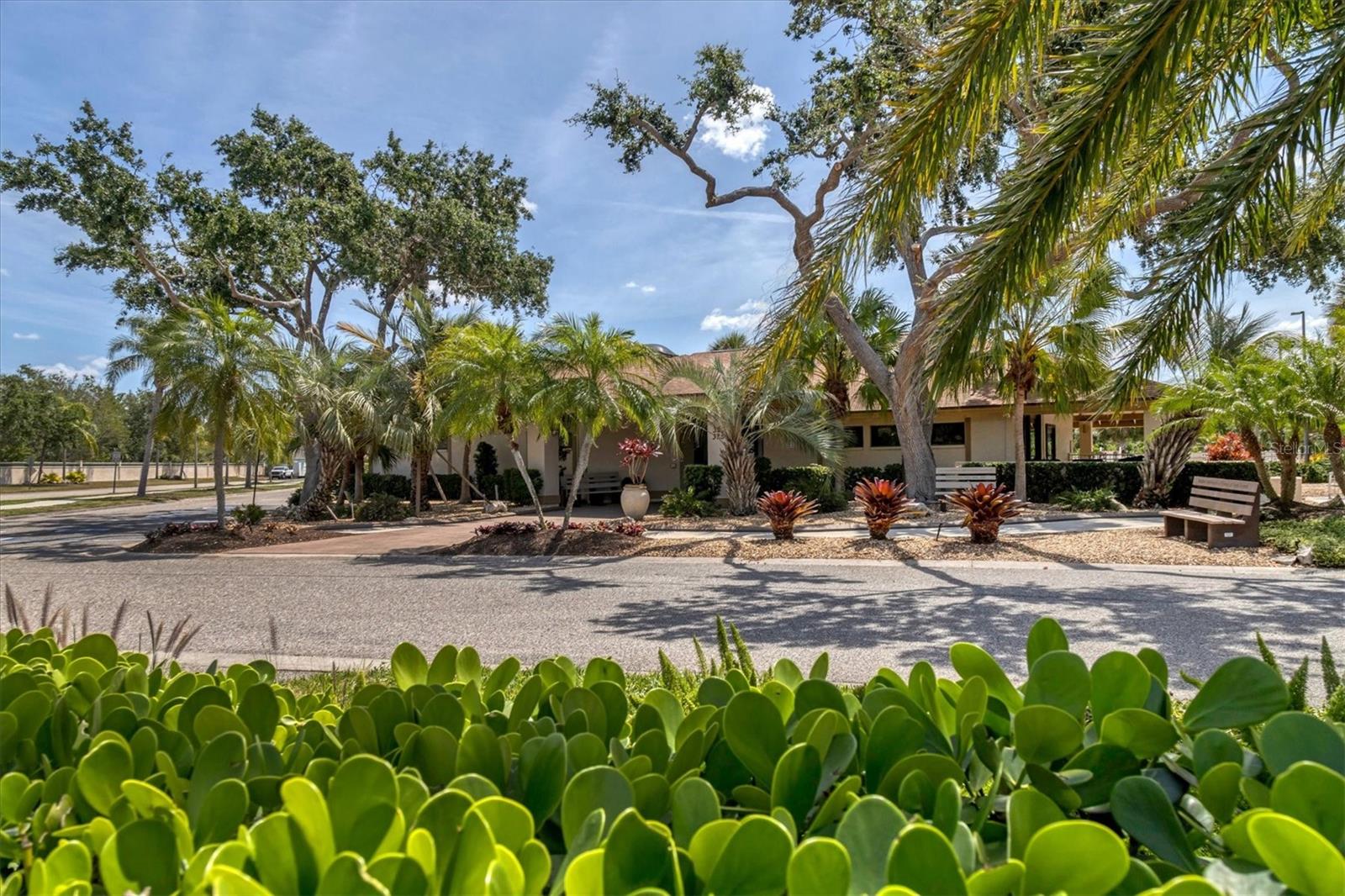 445 TOMOKA DR — photo 44