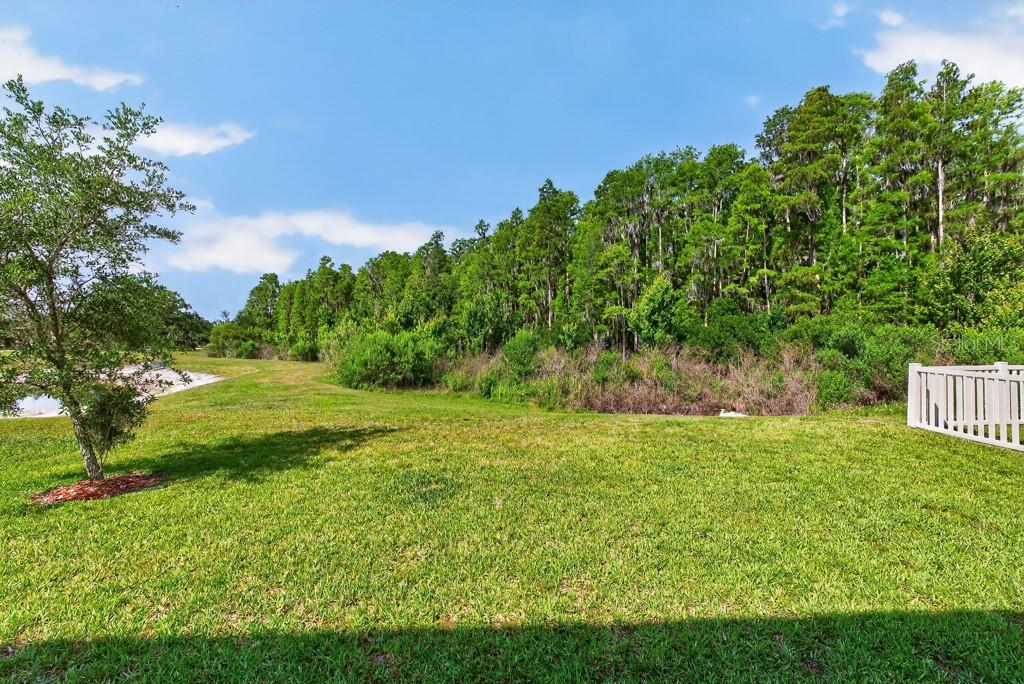 19222 OLD SPANISH RD — photo 31