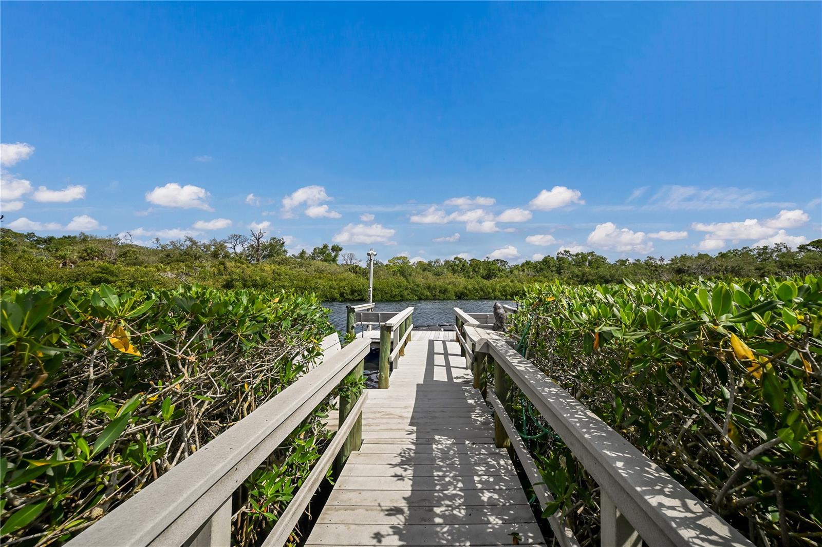 4678 SILENT CREEK WAY — photo 44