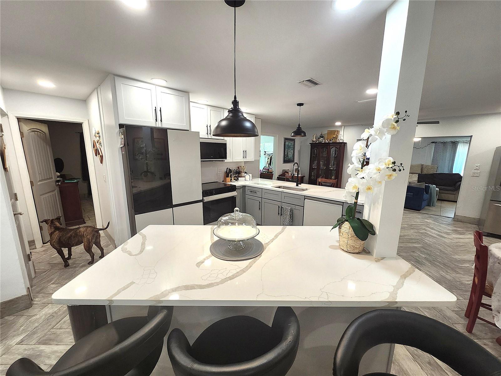 112 ANTILLA RD — photo 20