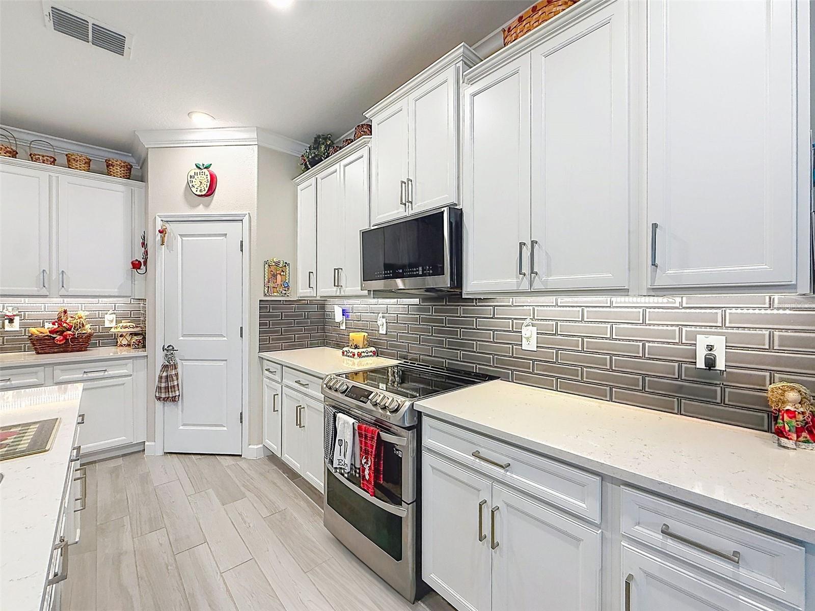 31527 CANNON RUSH DR — photo 36