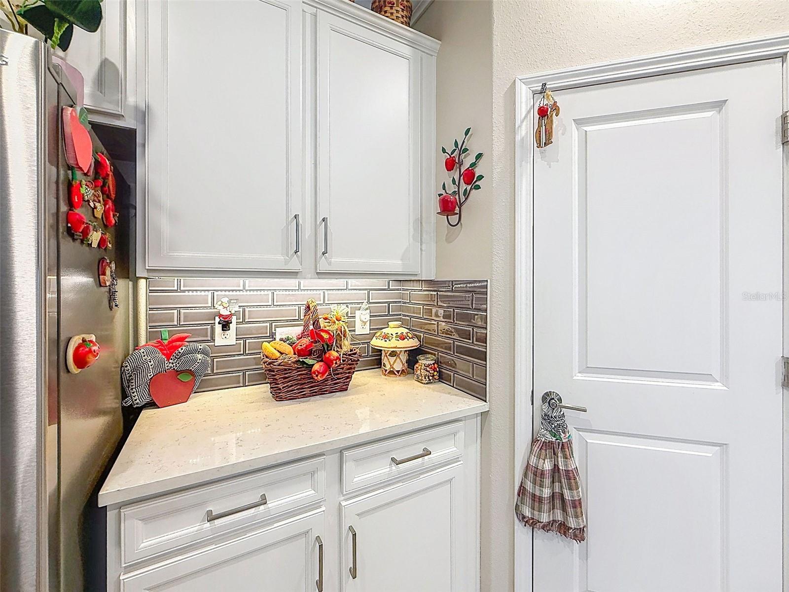 31527 CANNON RUSH DR — photo 35