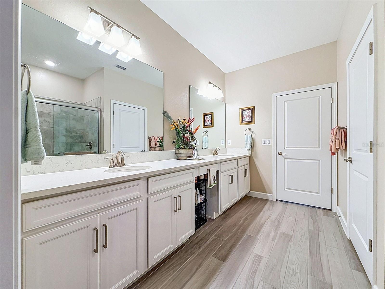 31527 CANNON RUSH DR — photo 46