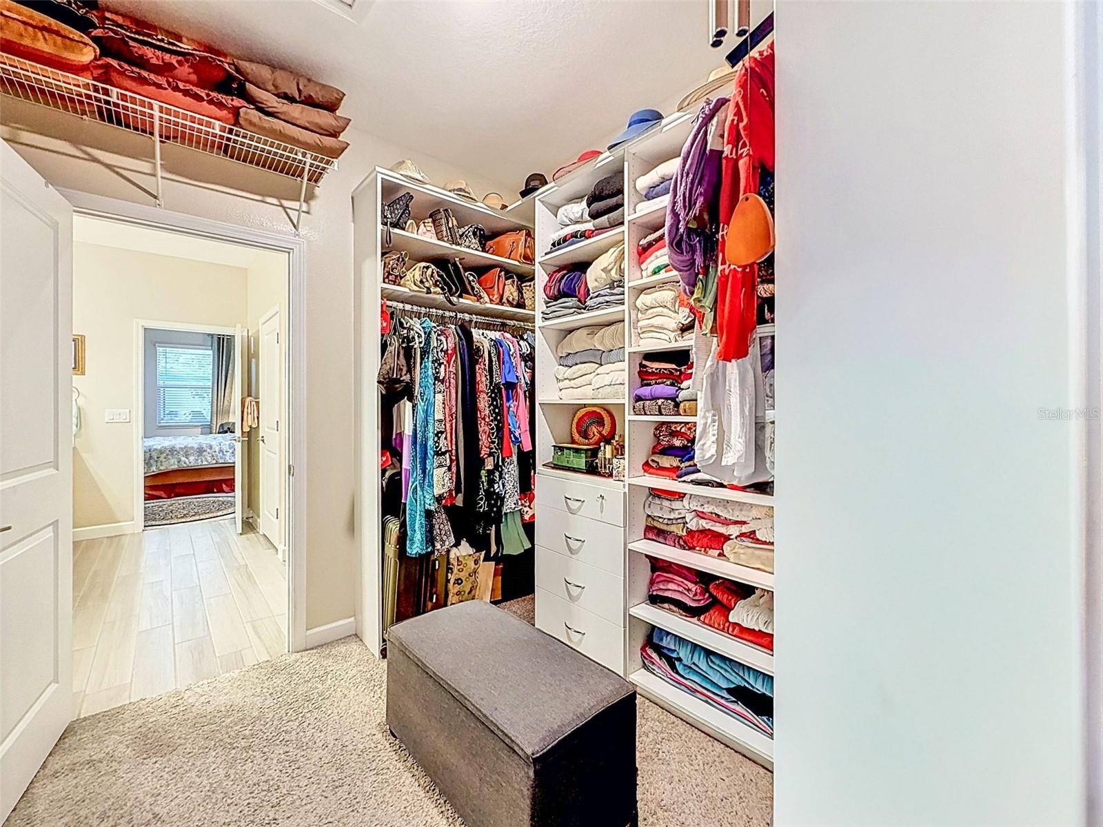 31527 CANNON RUSH DR — photo 51