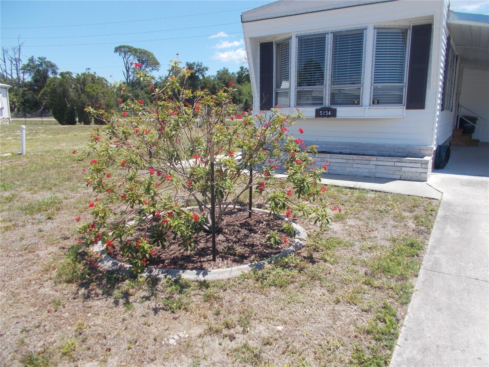 5154 PALENA BLVD — photo 28