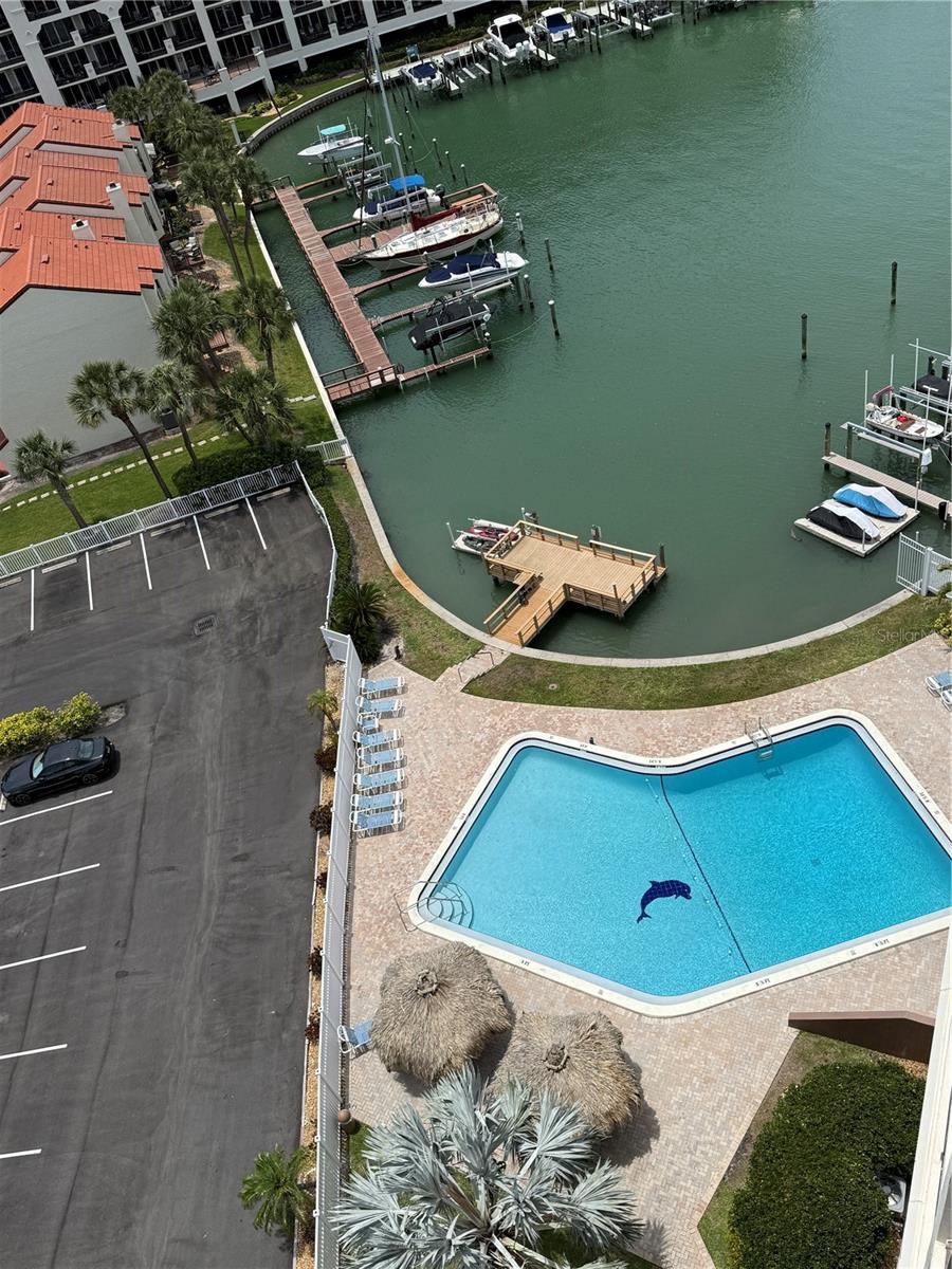 255 DOLPHIN PT #2 — photo 21