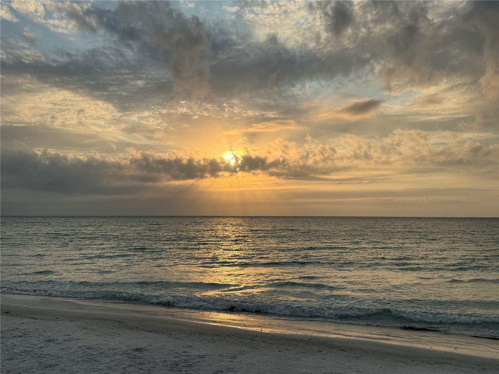 255 DOLPHIN PT #2 — photo 44