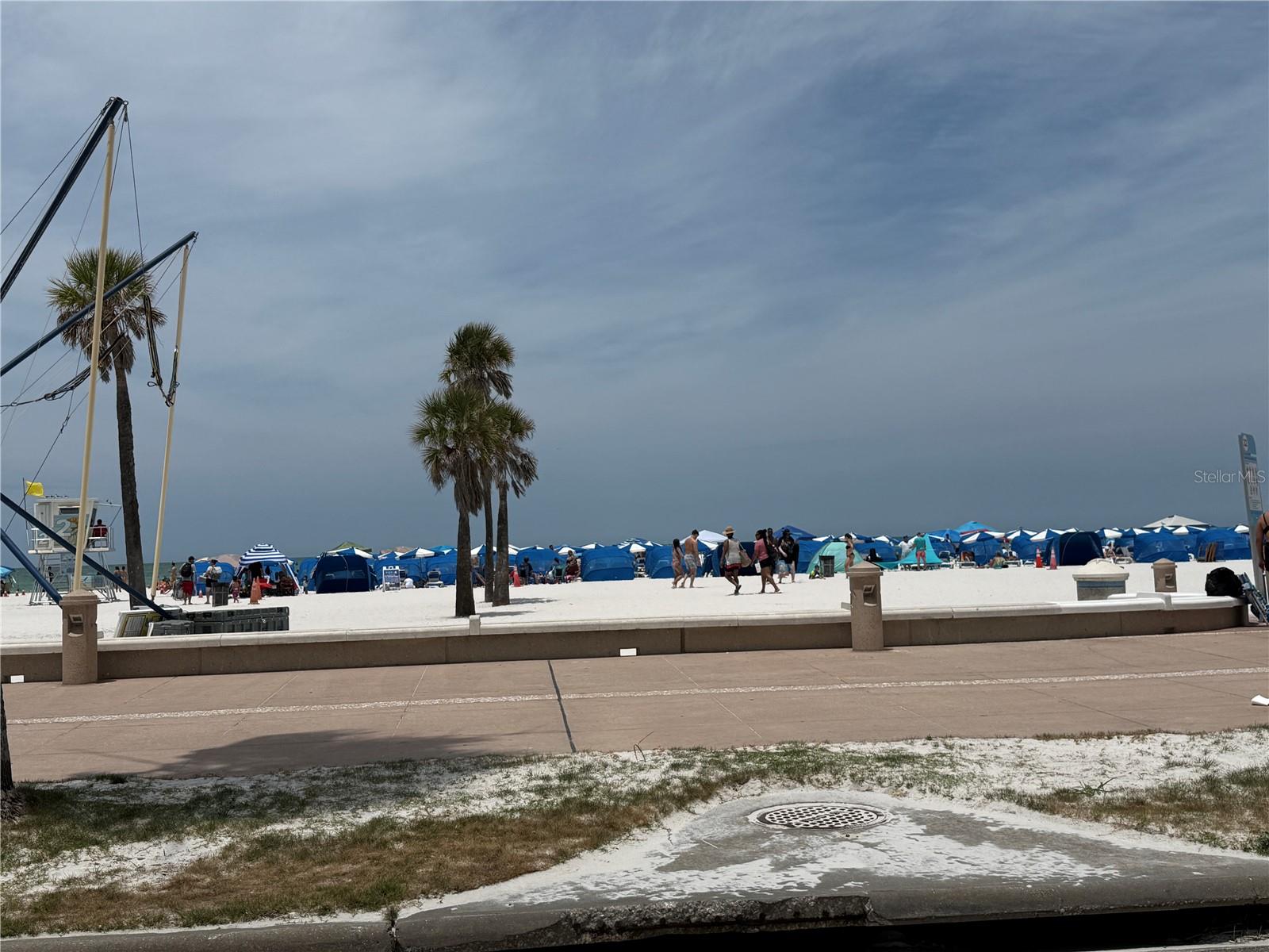 255 DOLPHIN PT #2 — photo 42