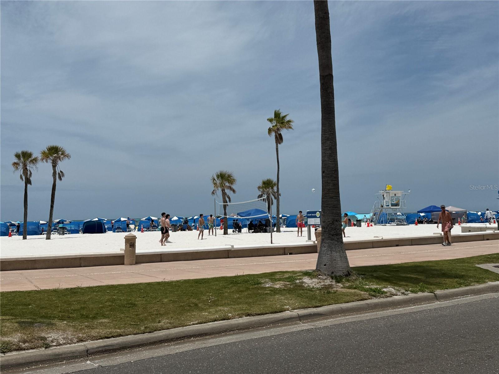255 DOLPHIN PT #2 — photo 40