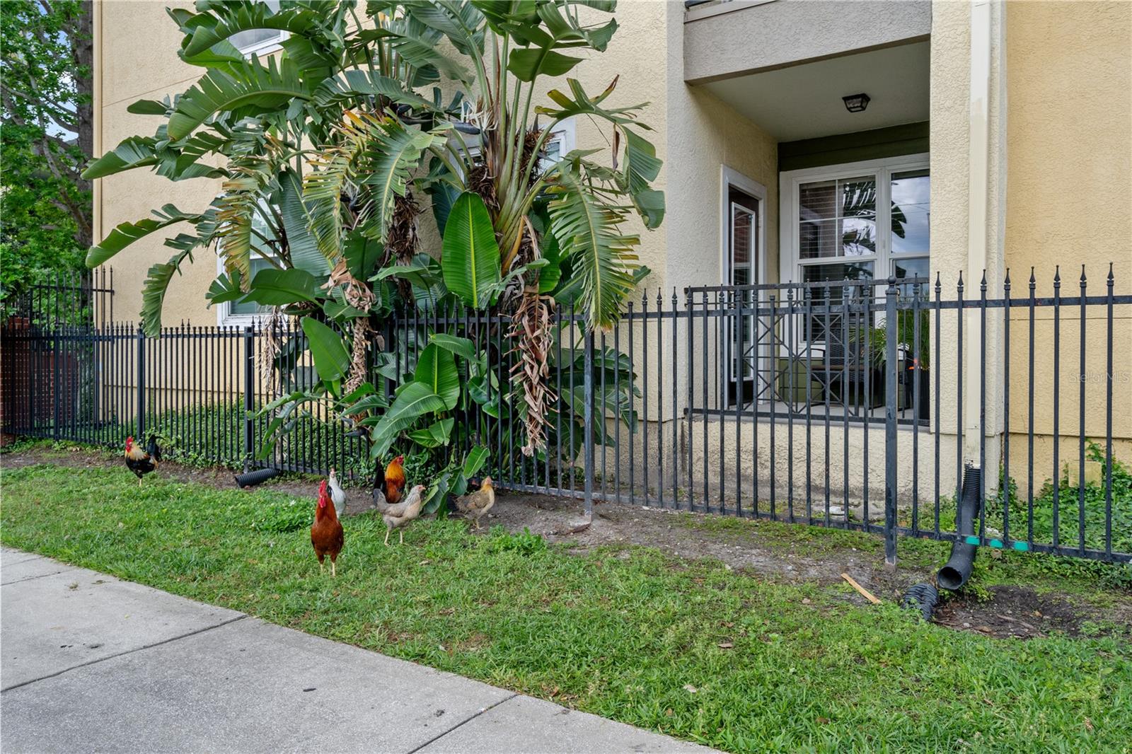 1810 E PALM AVE #5122 — photo 28