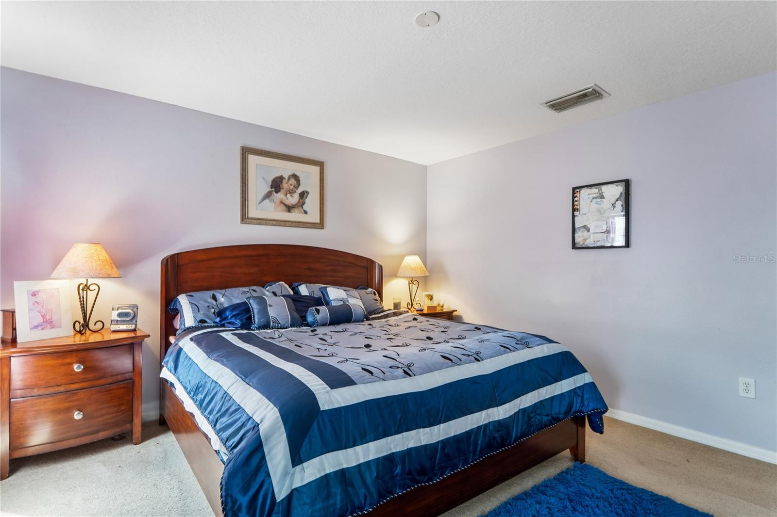 3533 CARDINAL FEATHER DR — photo 19