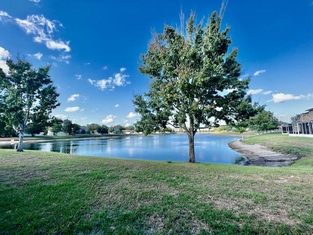 15655 STABLE RUN DR — photo 44