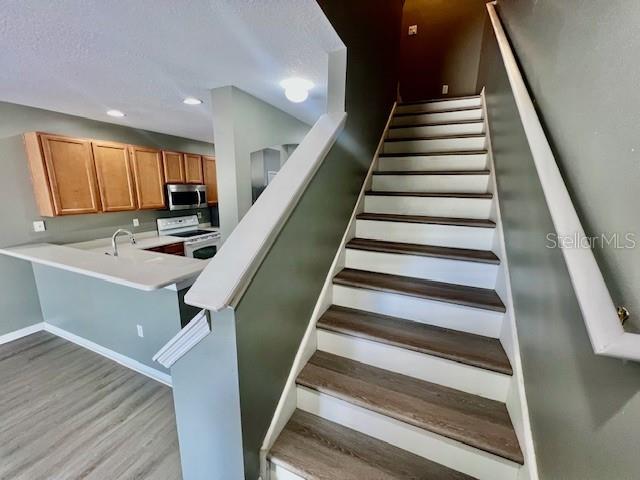 15655 STABLE RUN DR — photo 23