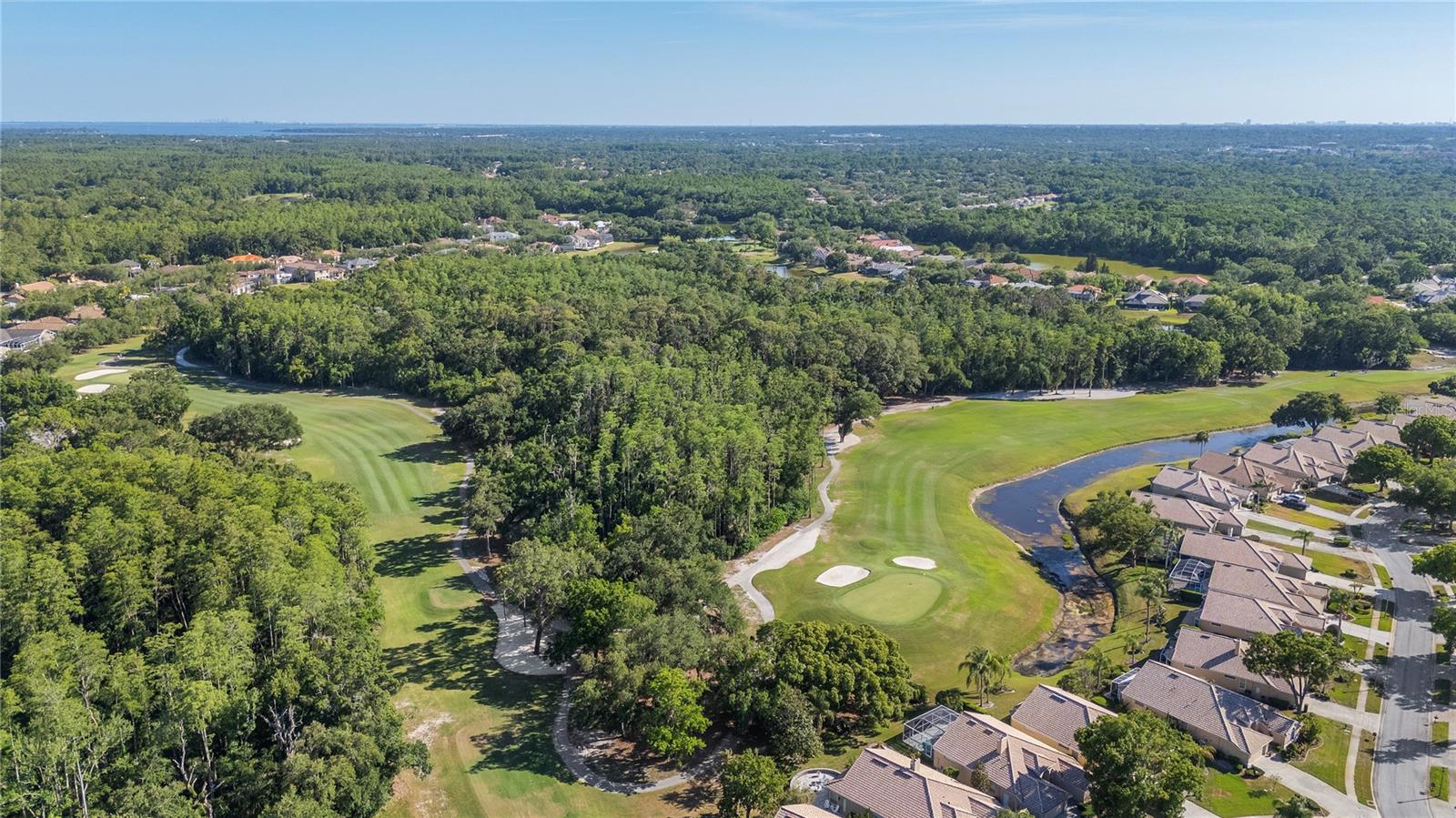 3446 TARPON WOODS BLVD — photo 35