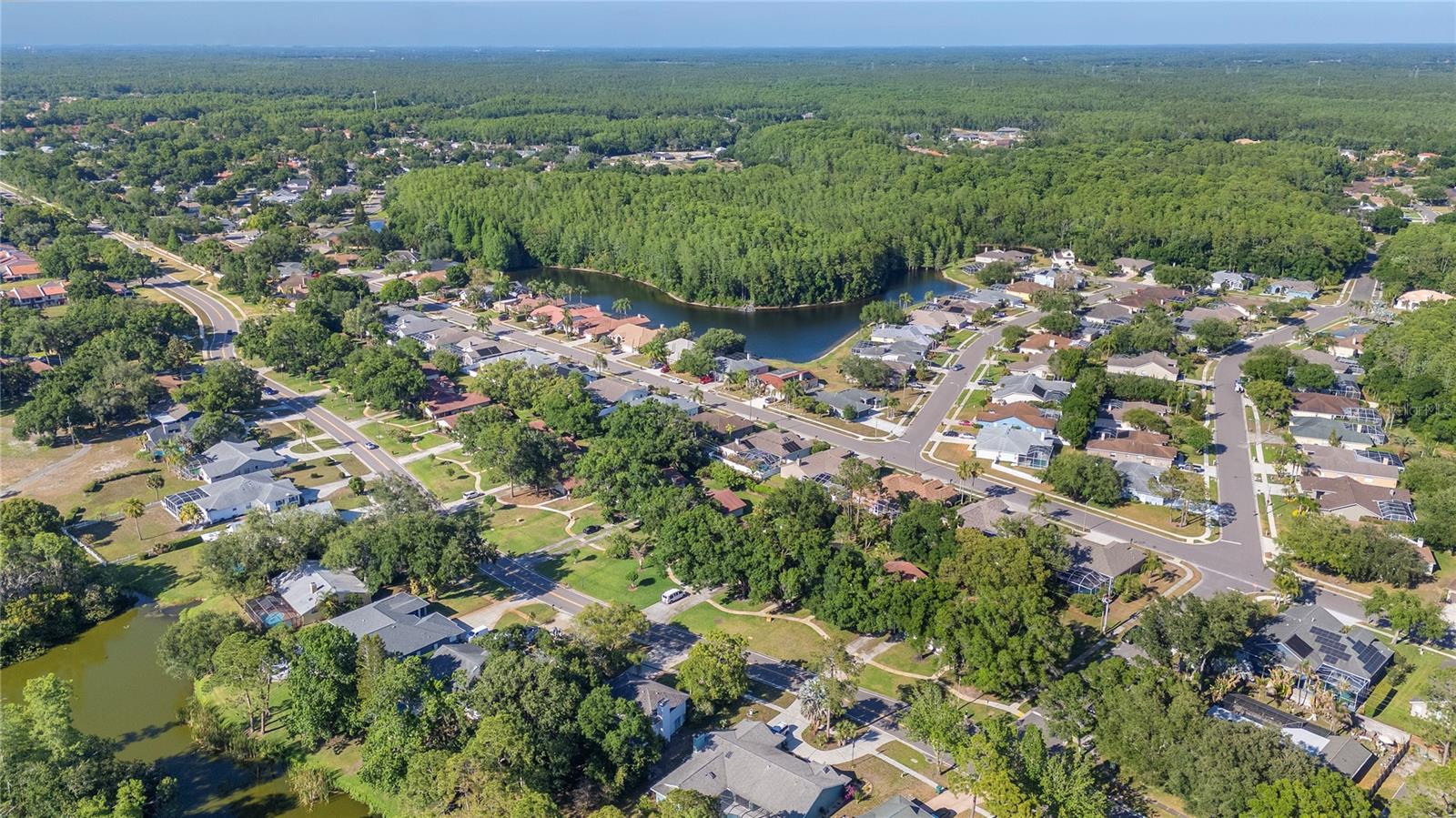 3446 TARPON WOODS BLVD — photo 36