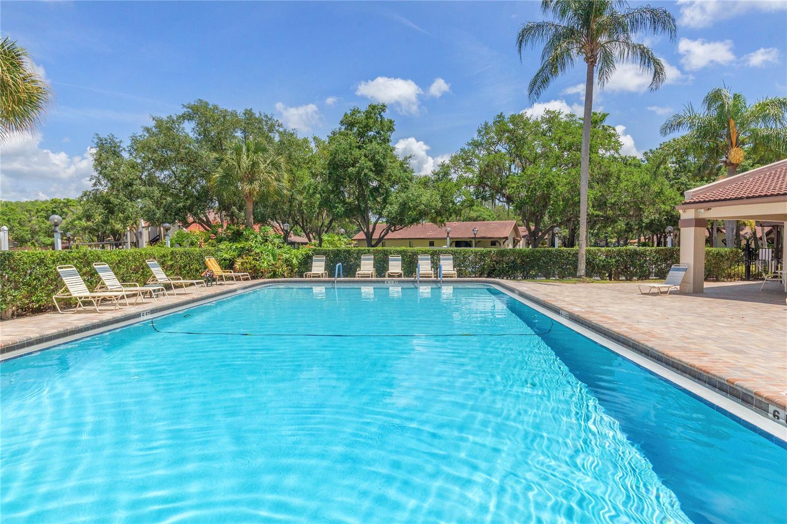 3446 TARPON WOODS BLVD — photo 33