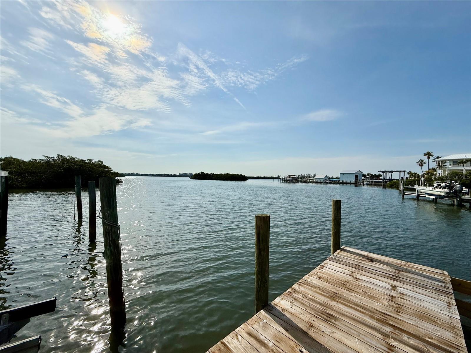 1257 TREE BAY LN — photo 48