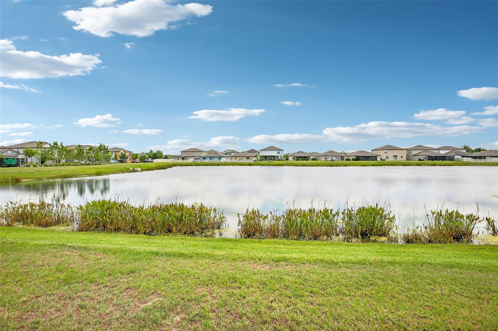 15608 MILLER CREEK DR — photo 39
