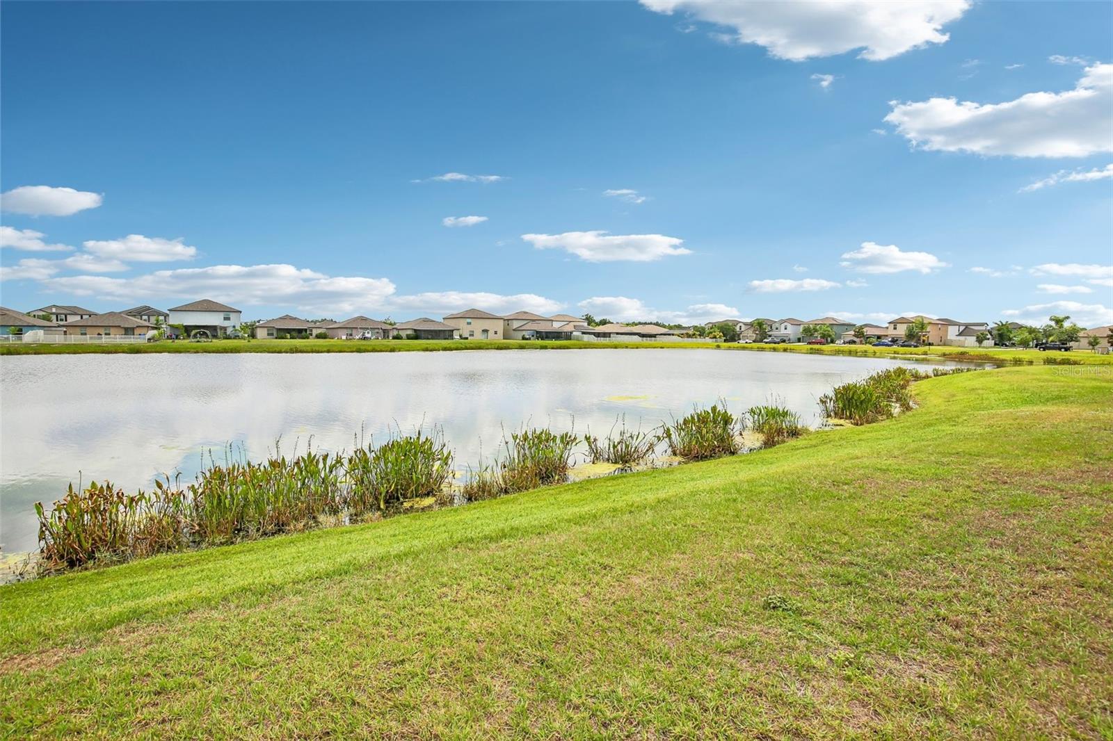 15608 MILLER CREEK DR — photo 38