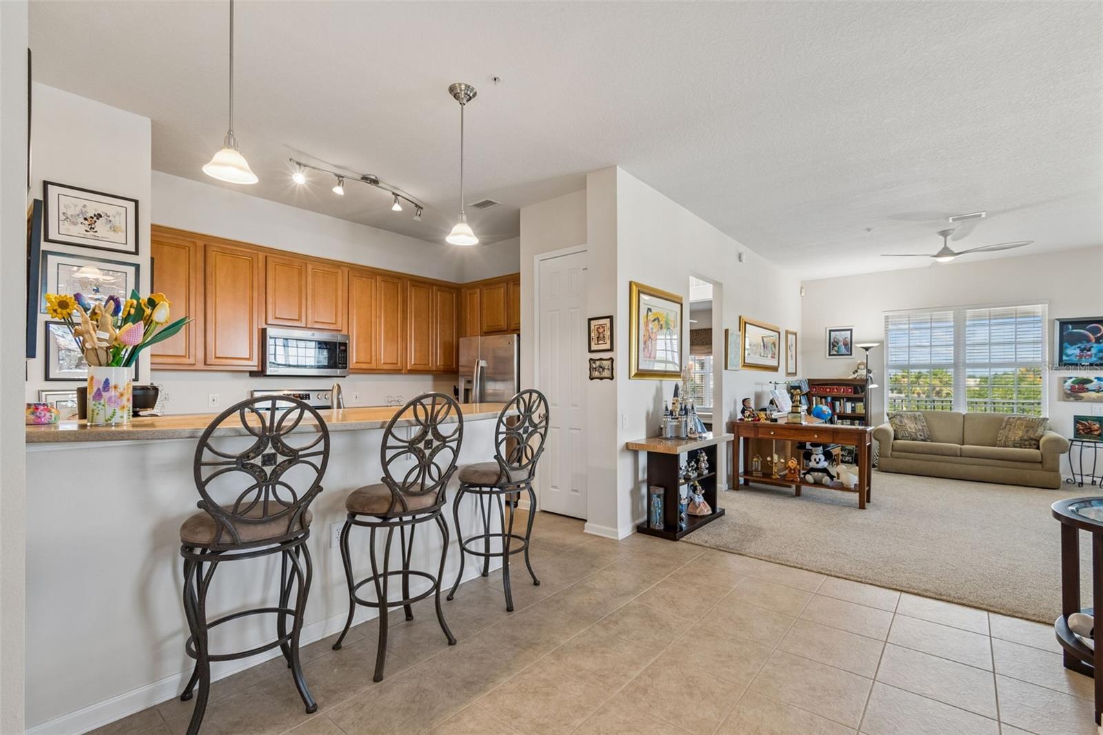7903 SEMINOLE BLVD #2401 — photo 16