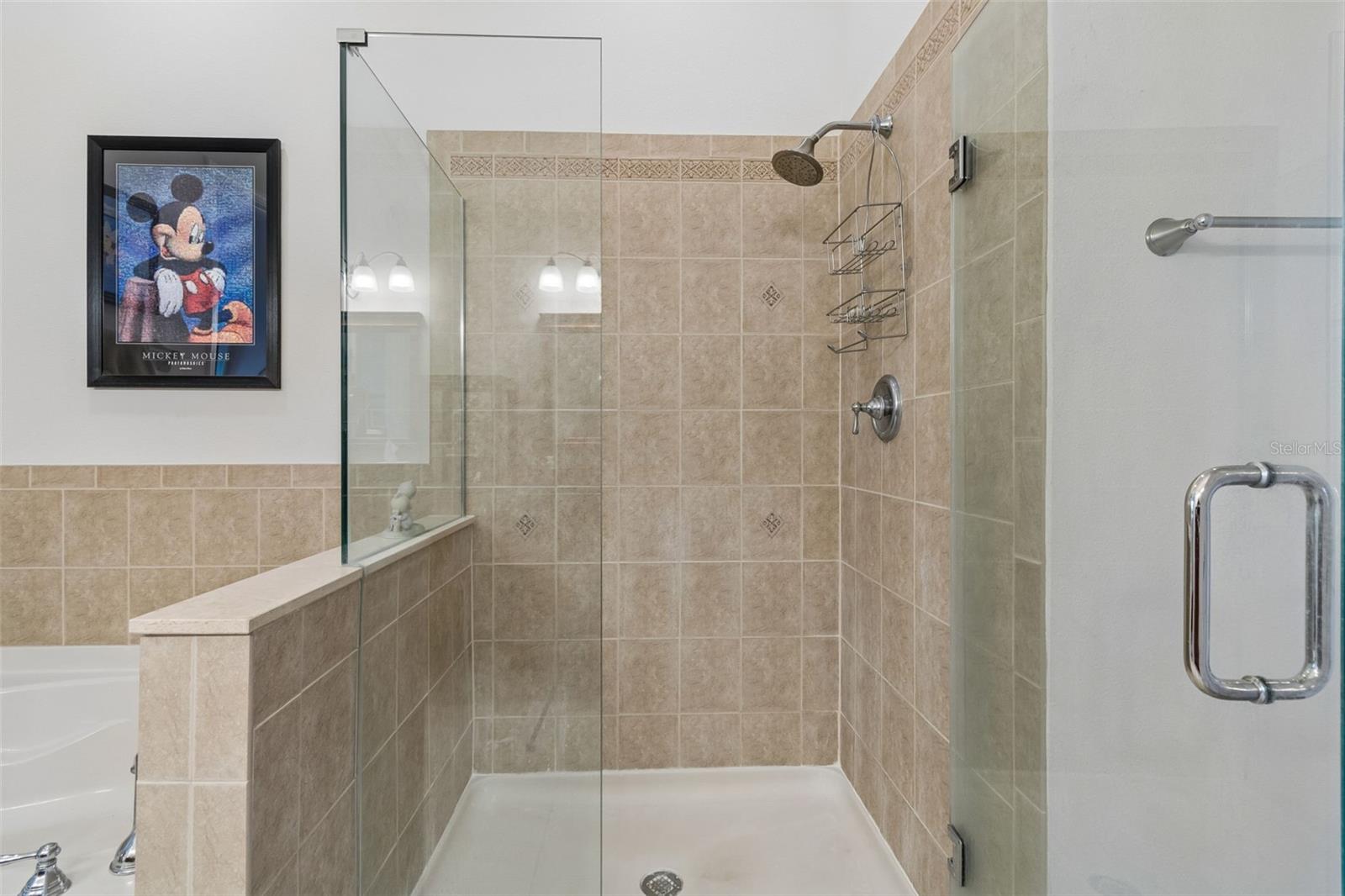 7903 SEMINOLE BLVD #2401 — photo 30