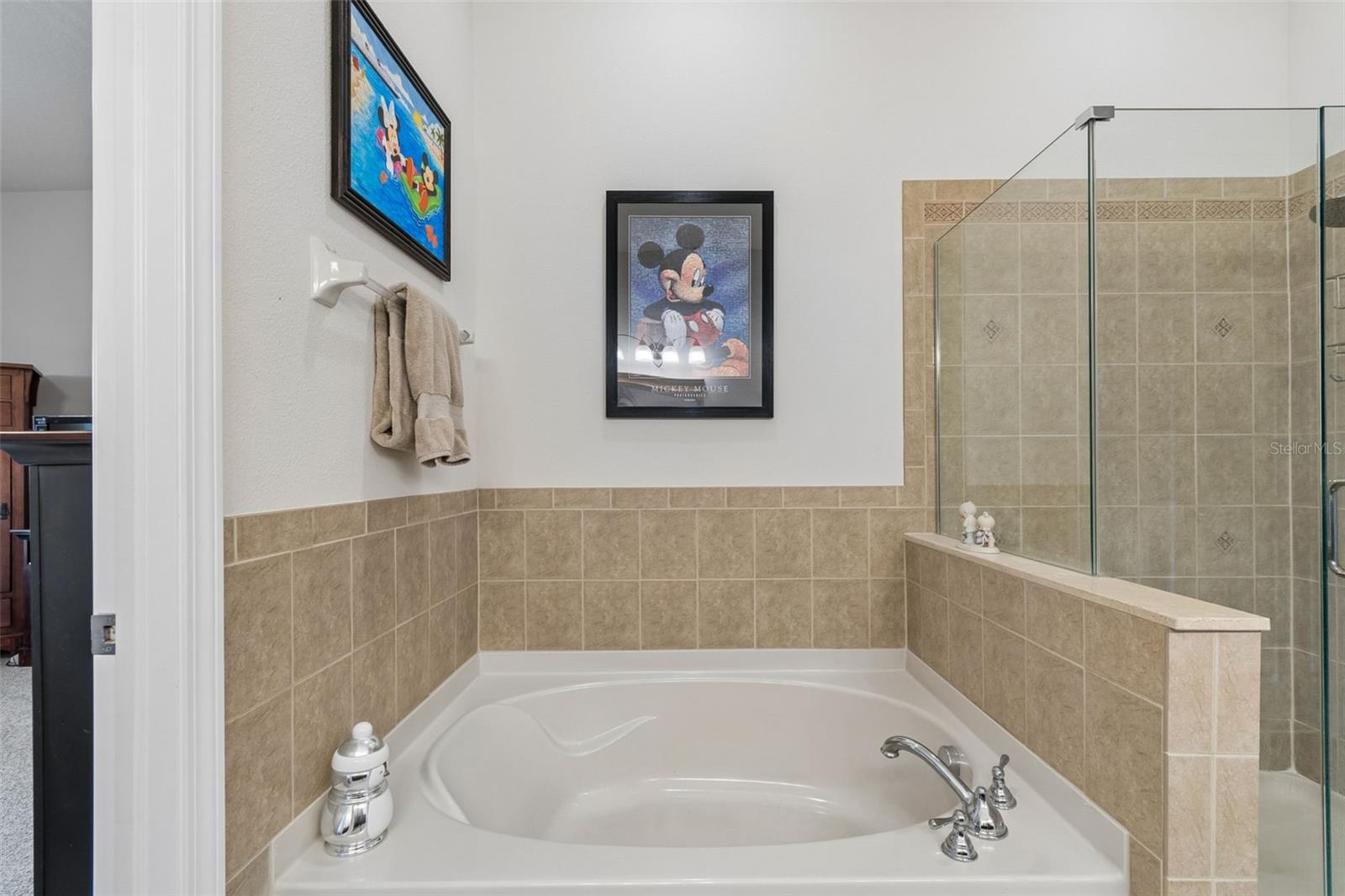 7903 SEMINOLE BLVD #2401 — photo 31