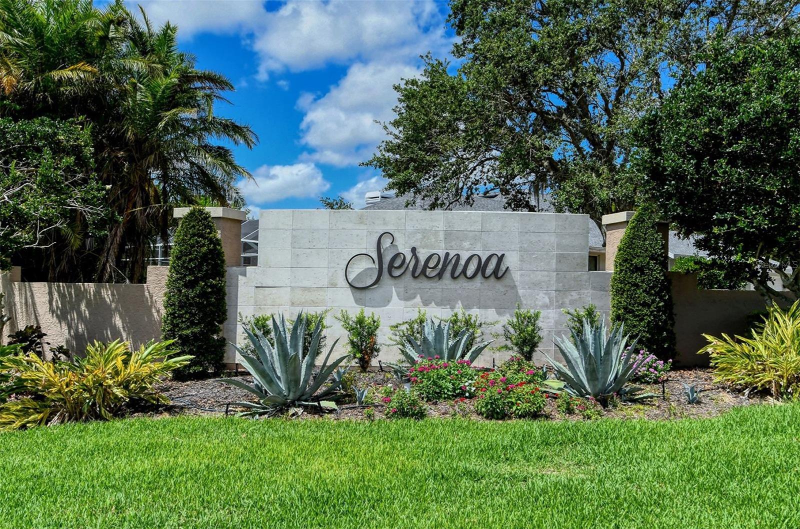 7025 N SERENOA DR — photo 68