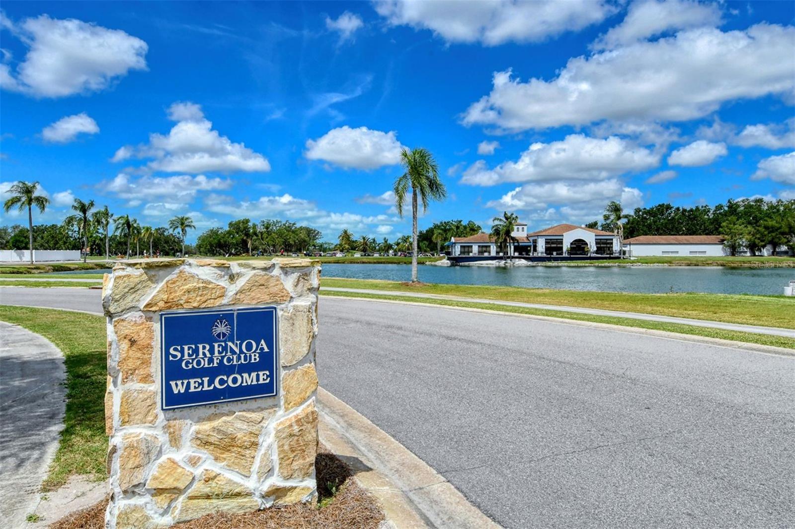 7025 N SERENOA DR — photo 69