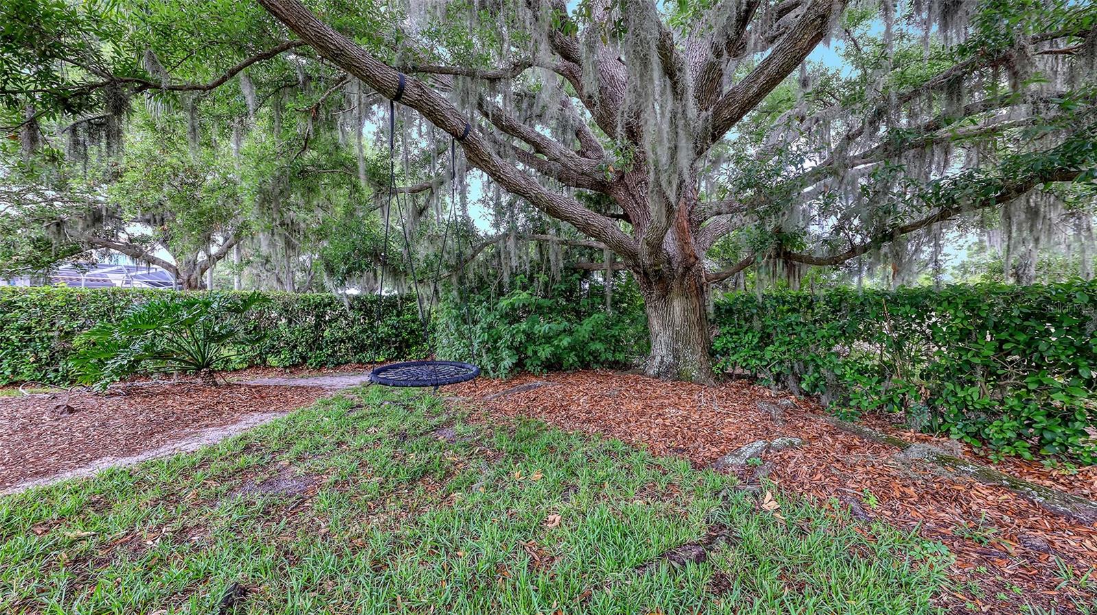 7025 N SERENOA DR — photo 65
