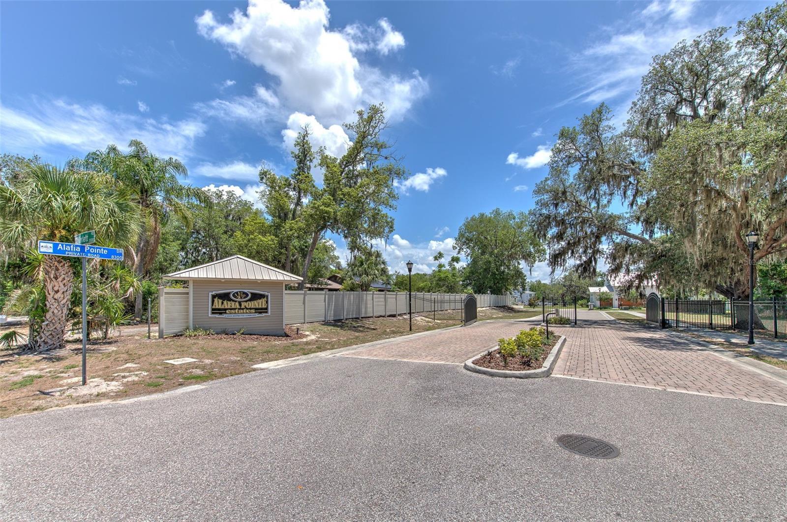 8325 ALAFIA POINTE DR — photo 2