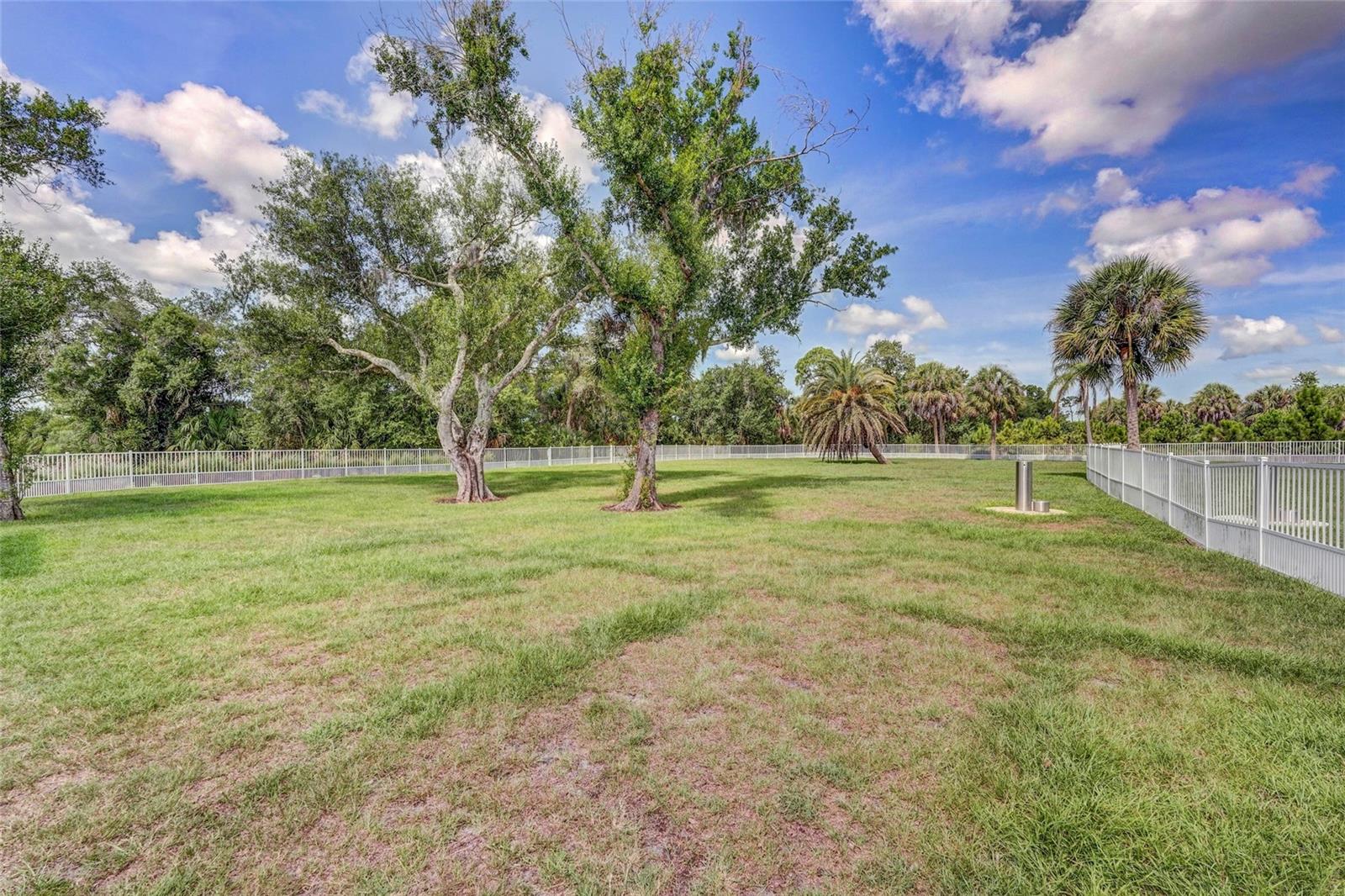 10233 LAKE WALES CIR — photo 77