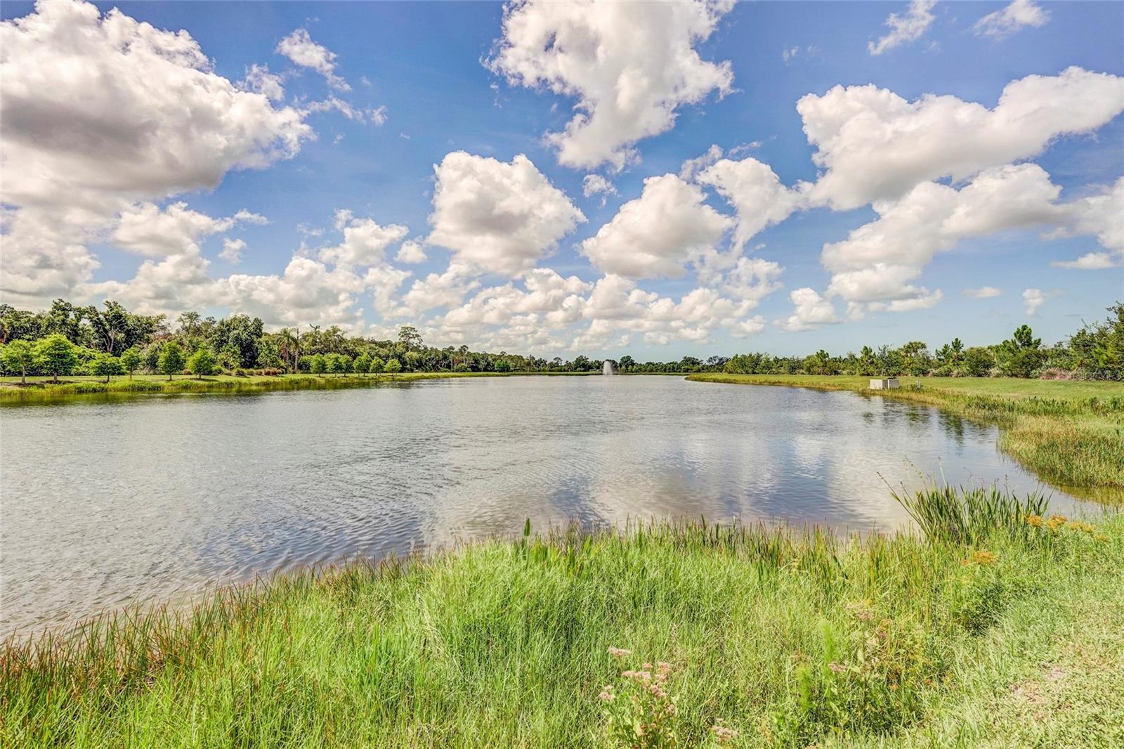 10233 LAKE WALES CIR — photo 83