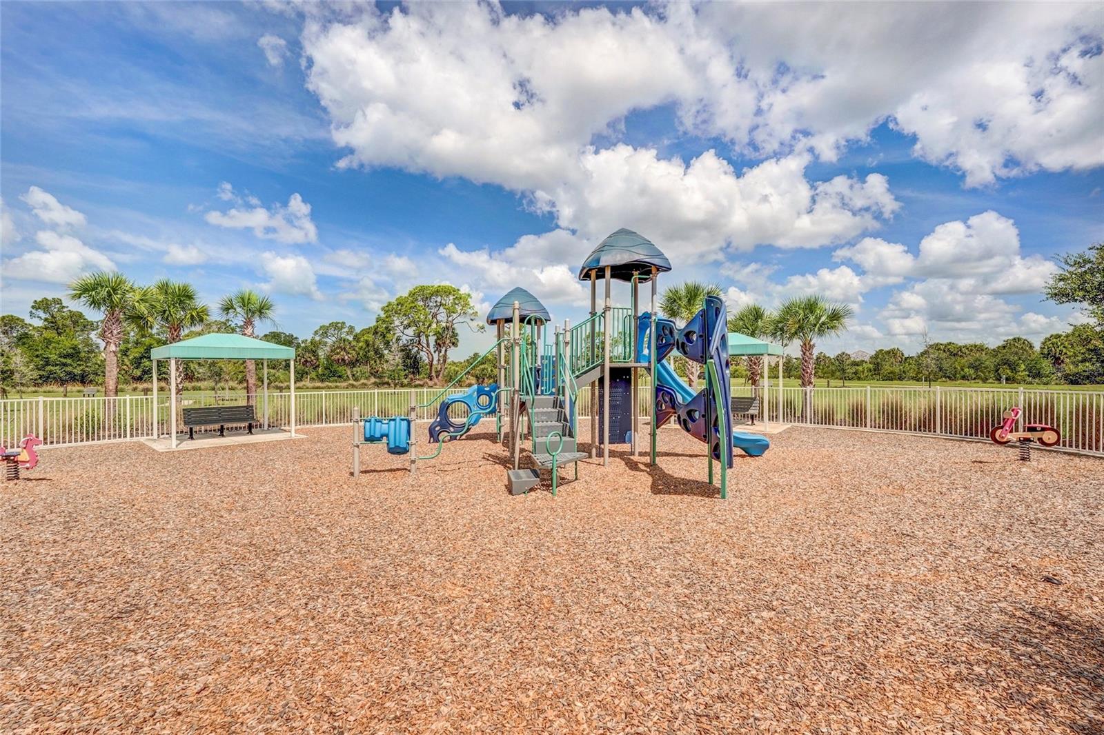 10233 LAKE WALES CIR — photo 78