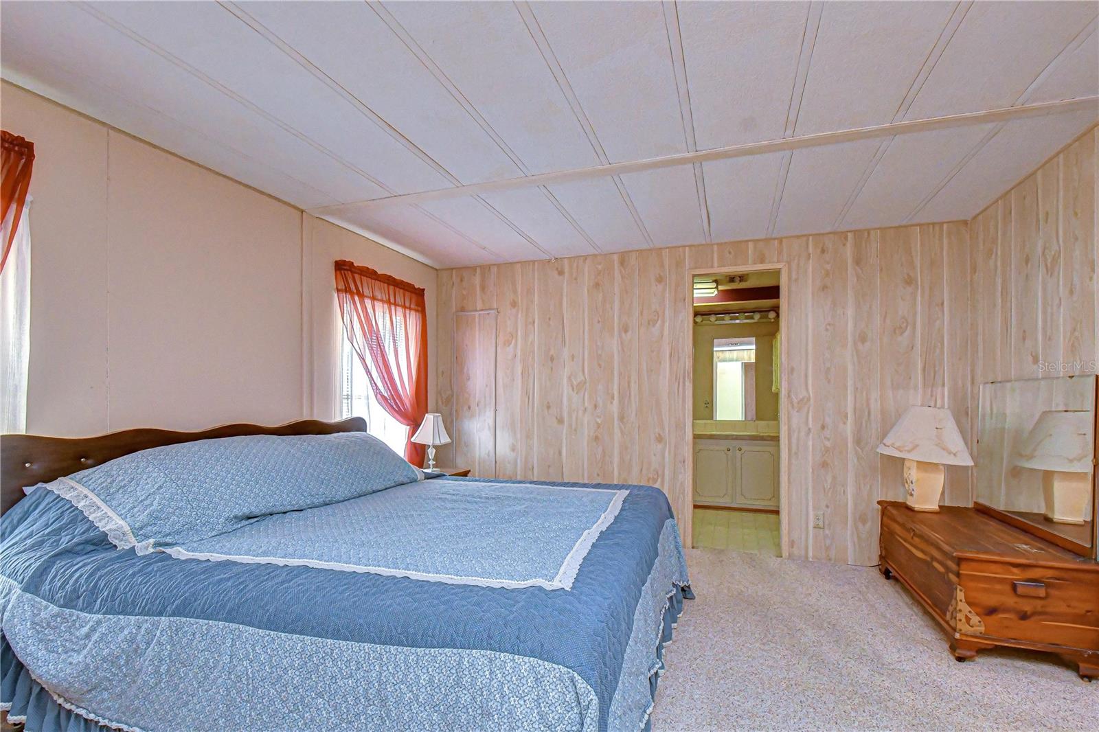 35804 BRISA DR — photo 20